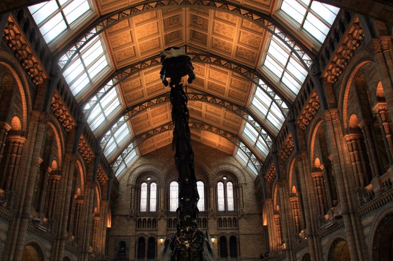 20081005_naturalhistorymuseum_011
